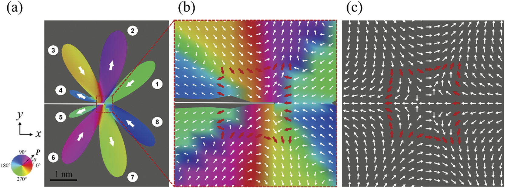 タカヒロ Emergence of non-trivial polar topologies hidden in singular