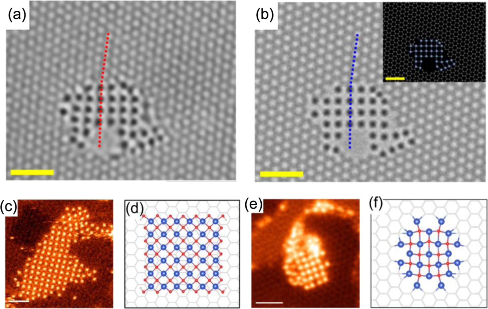 Electron beam triggered single-atom dynamics in two-dimensional ...