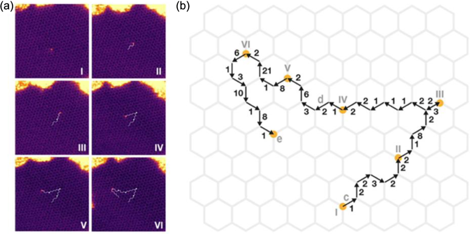Electron beam triggered single-atom dynamics in two-dimensional ...
