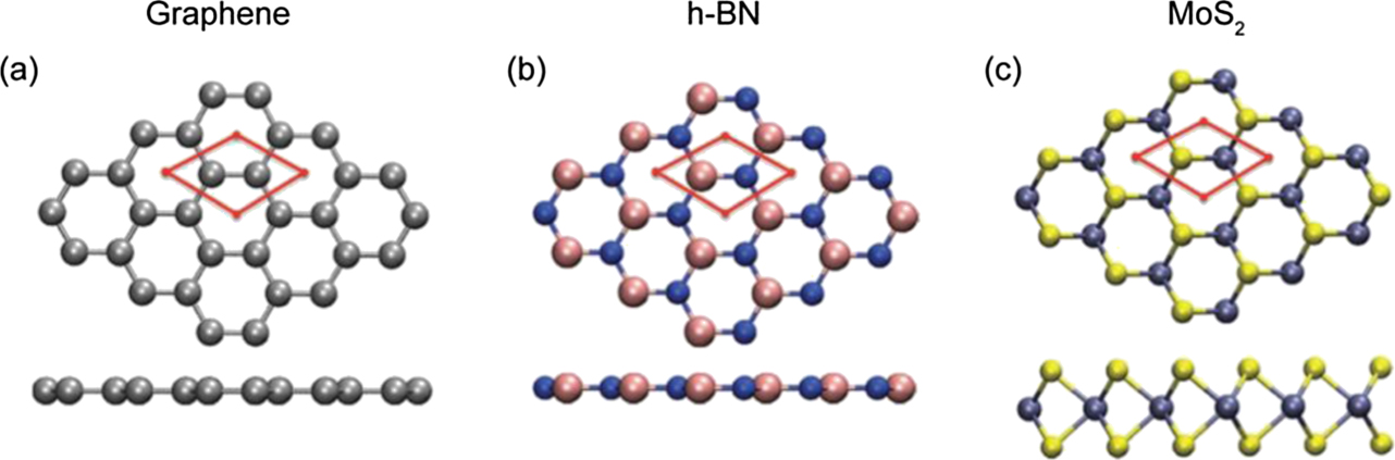 Electron beam triggered single-atom dynamics in two-dimensional ...