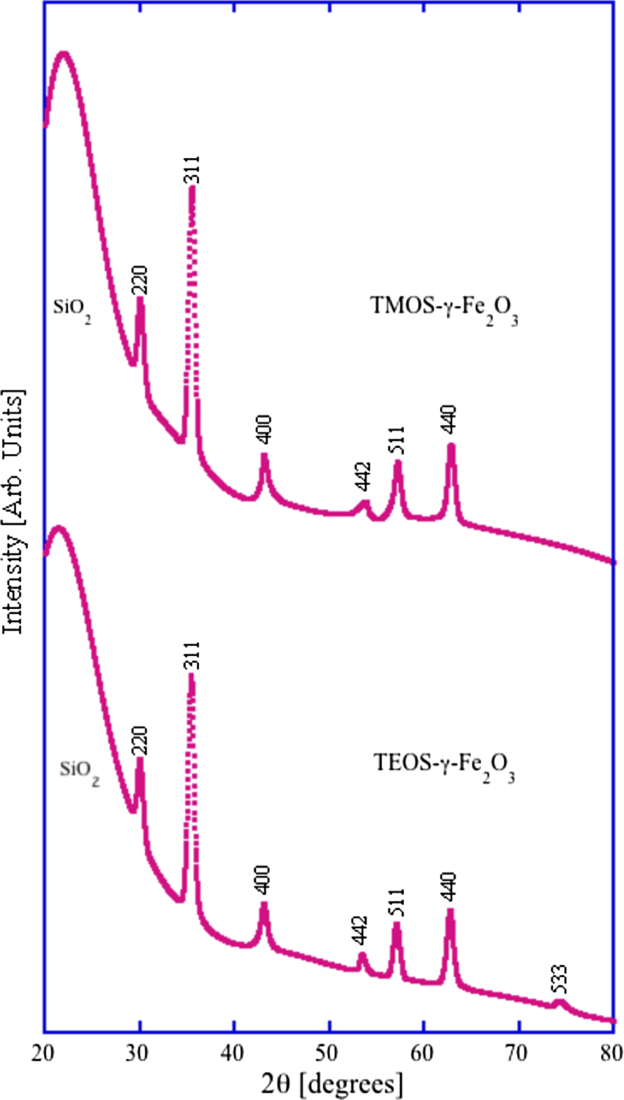 Magnetic properties of γ-Fe2O3 nanoparticles in a porous SiO2 shell for ...