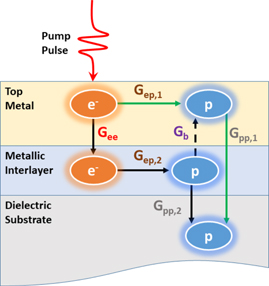 Role of the electron–phonon coupling in tuning the thermal boundary ...