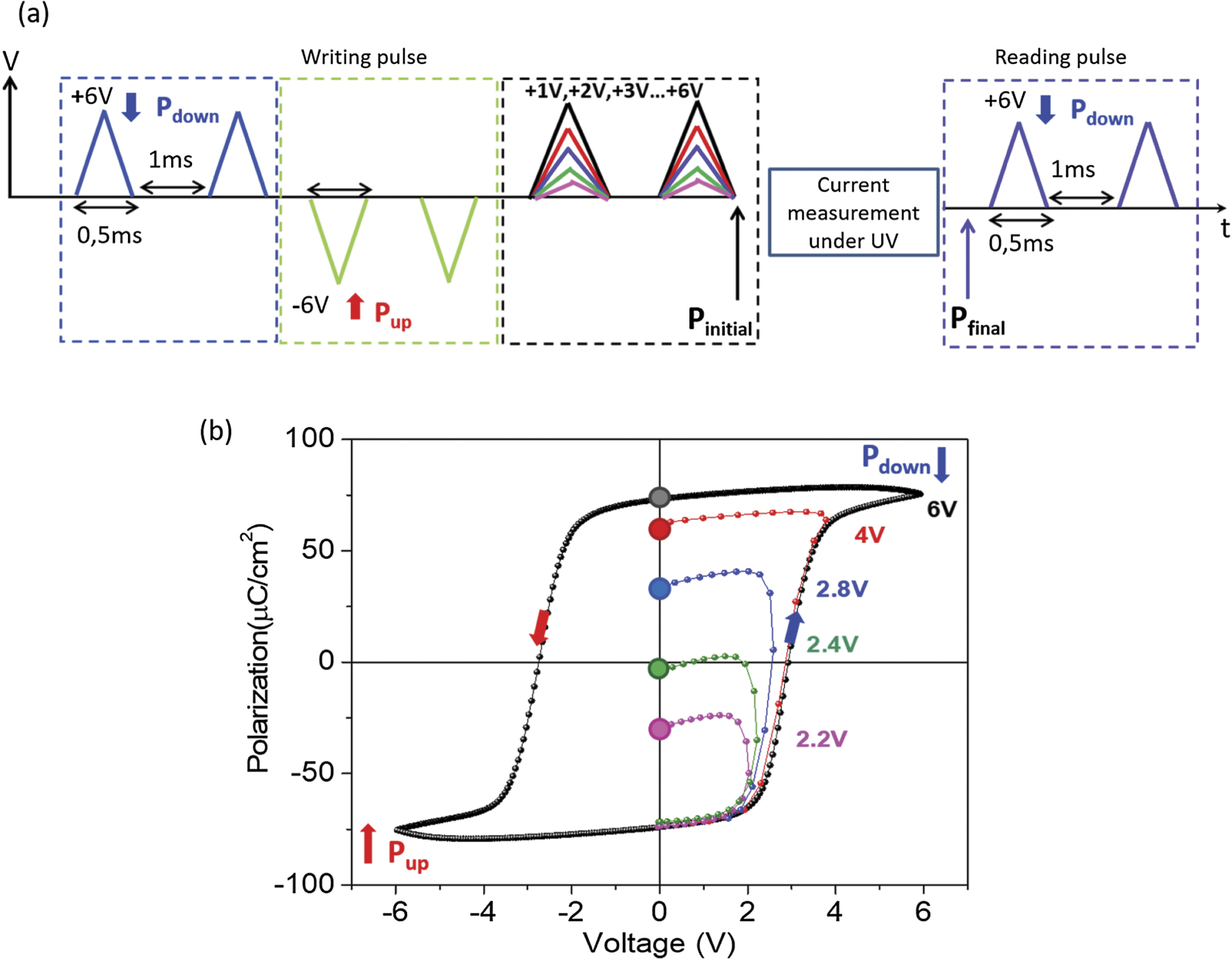 Quantitative investigation of polarization-dependent photocurrent in ...
