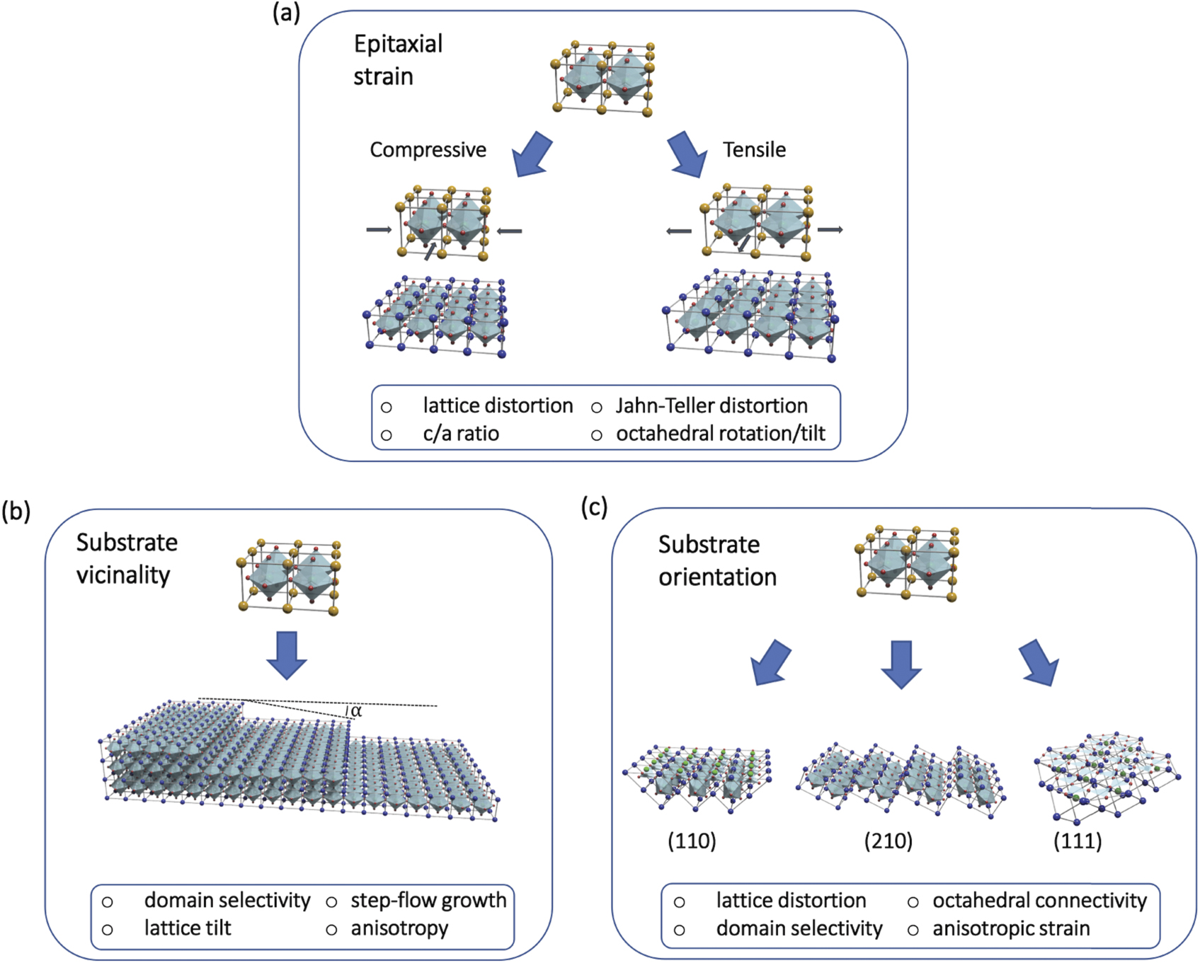 Strain and orientation engineering in ABO3 perovskite oxide thin films ...