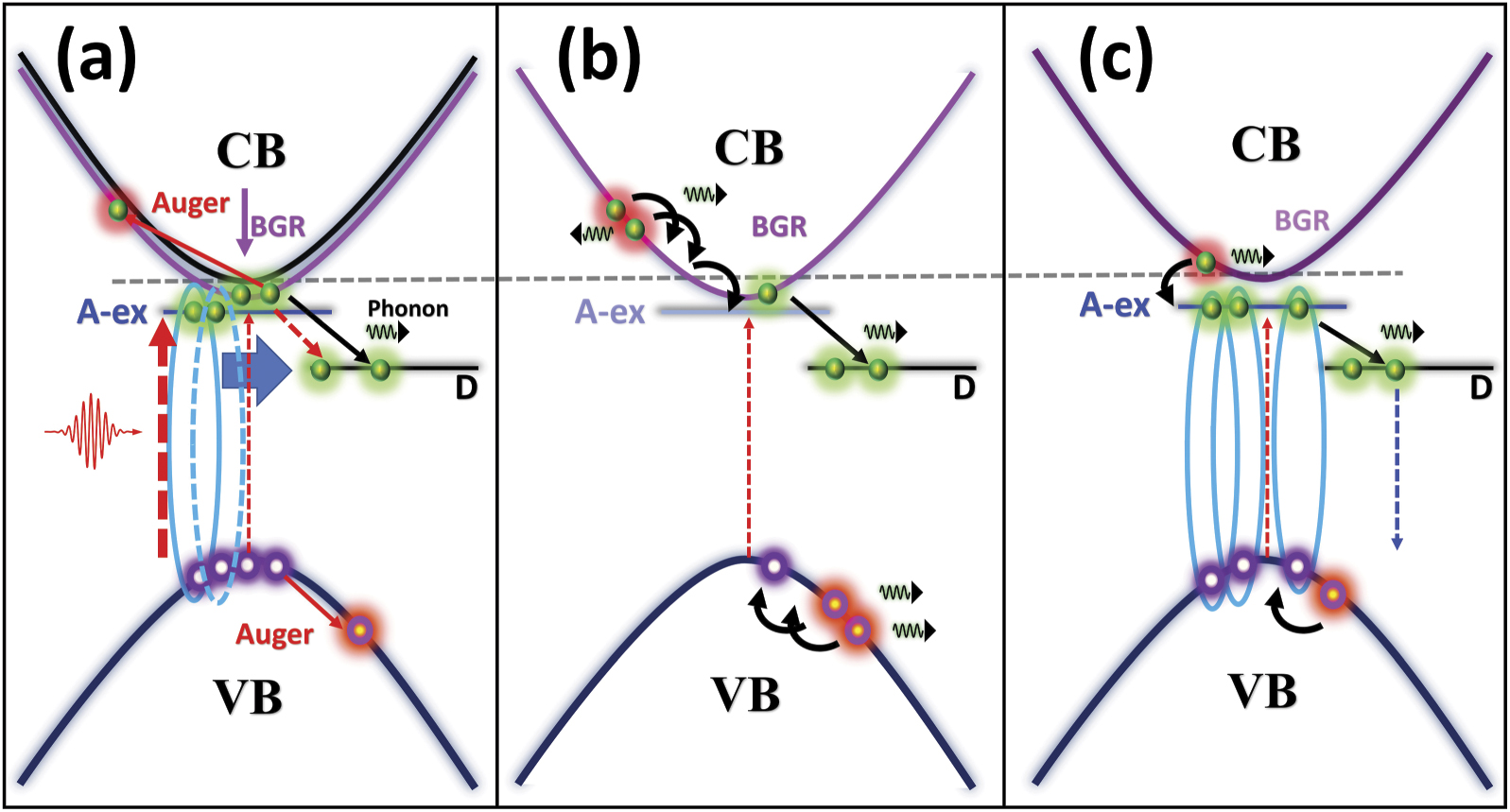 Ultrafast carrier dynamics in a monolayer MoS2 at carrier densities ...