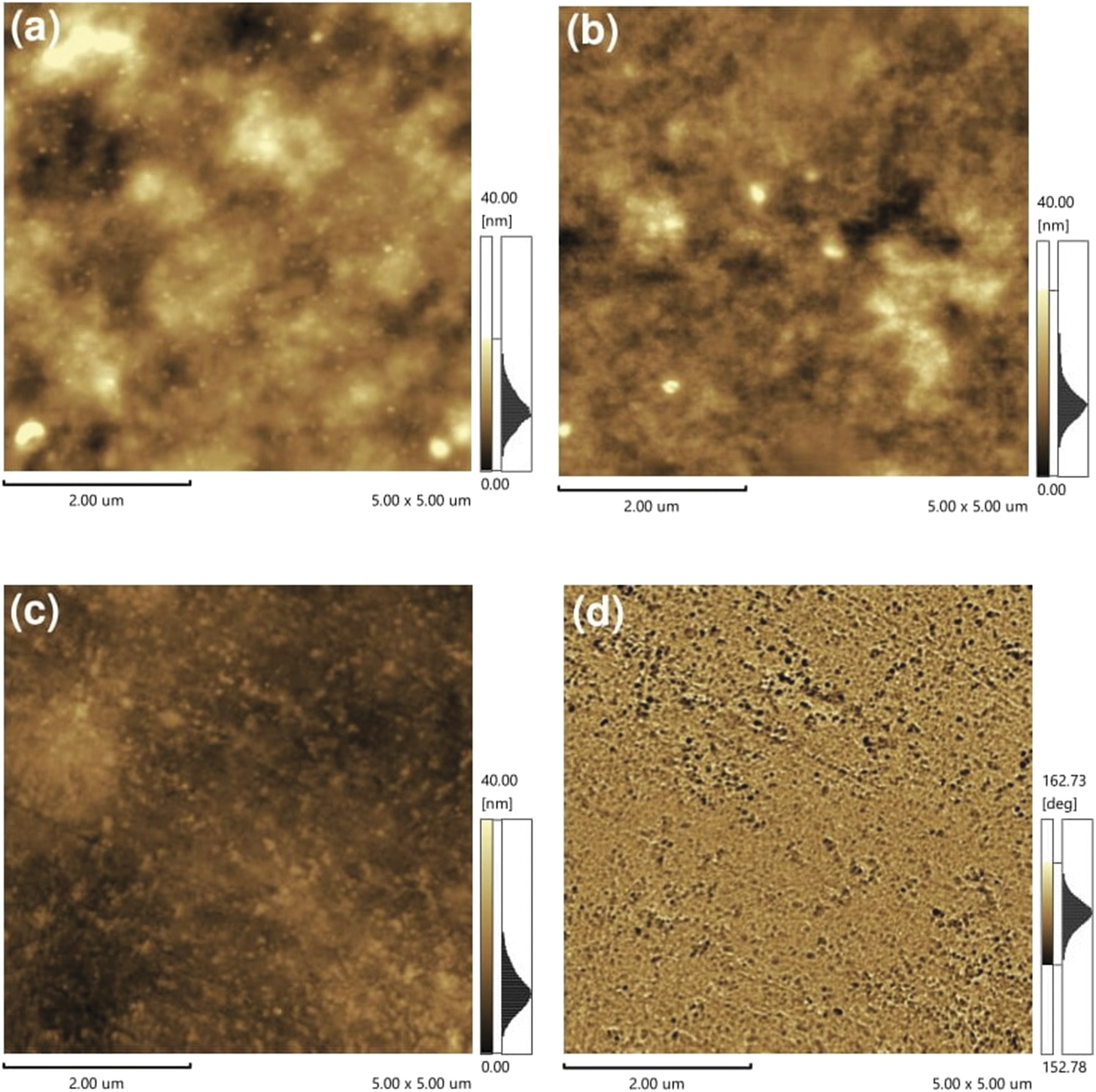 Morphology and energy transfer study between conjugated polymers thin ...