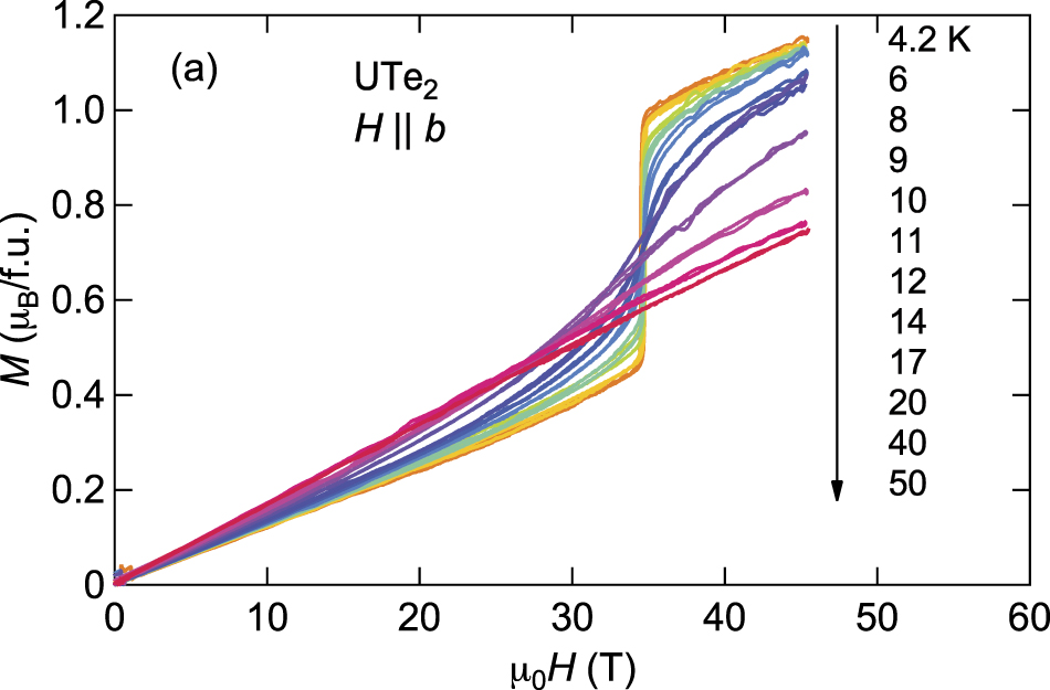 Unconventional superconductivity in UTe2 - IOPscience