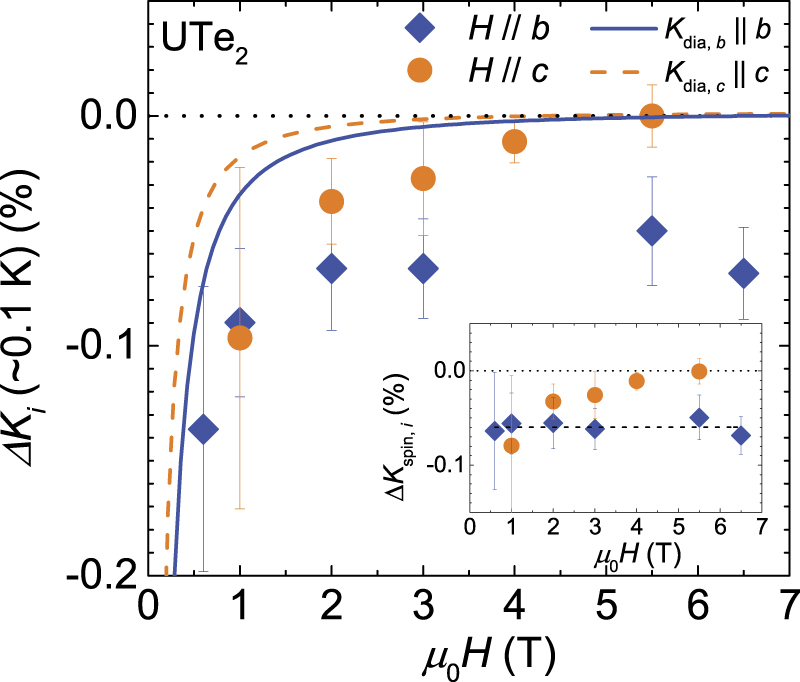 Unconventional superconductivity in UTe2 - IOPscience