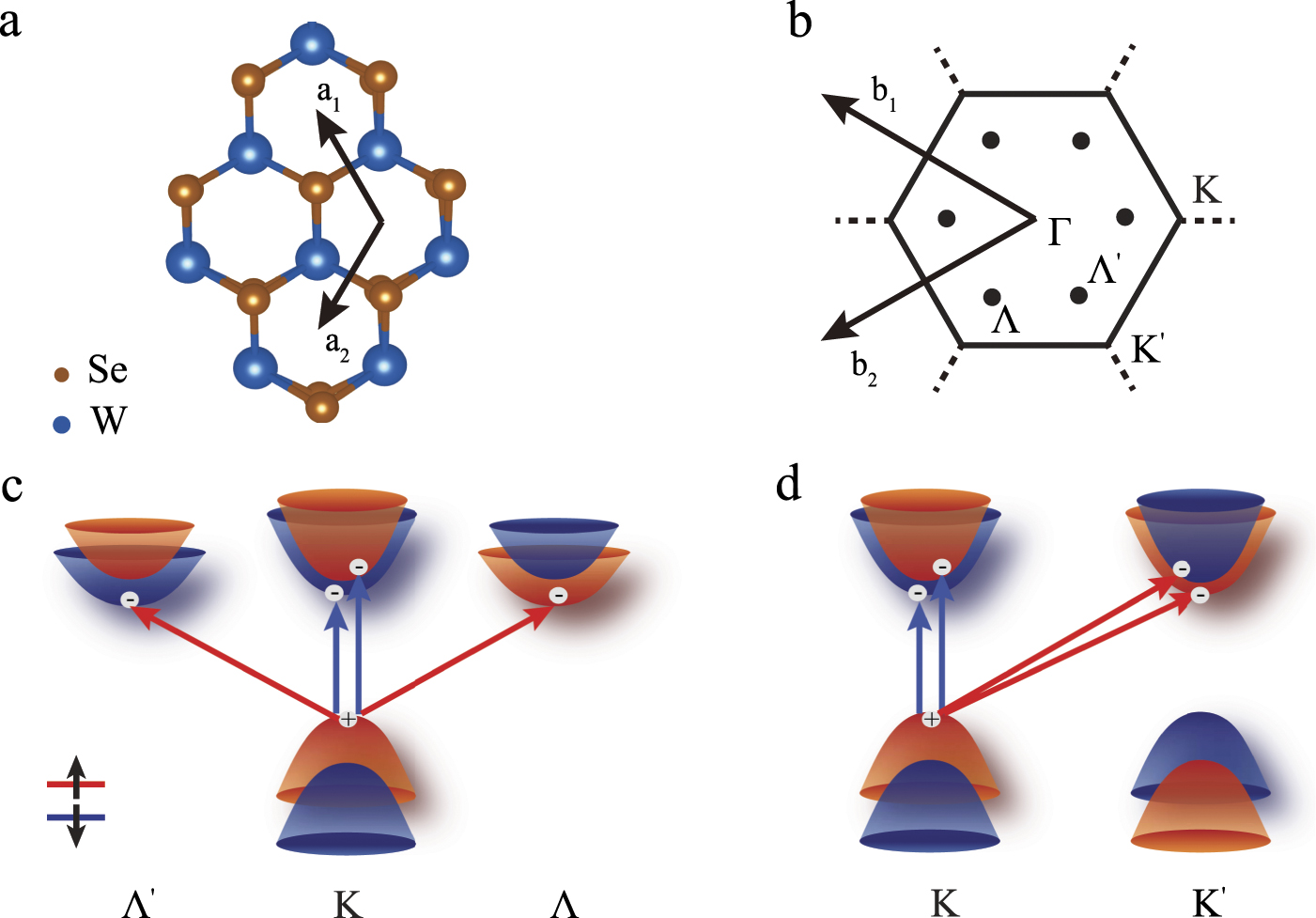 Ab initio calculations of spin-nonconserving exciton–phonon scattering ...