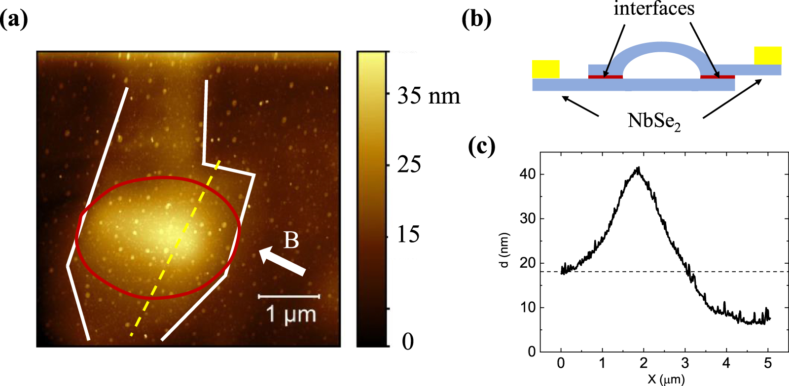 Superconducting quantum interference effect in NbSe2/NbSe2 van der ...