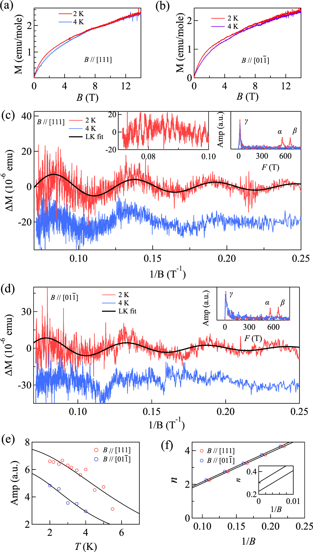 Shubnikov-de Haas and de Haas-van Alphen oscillations in Czochralski ...