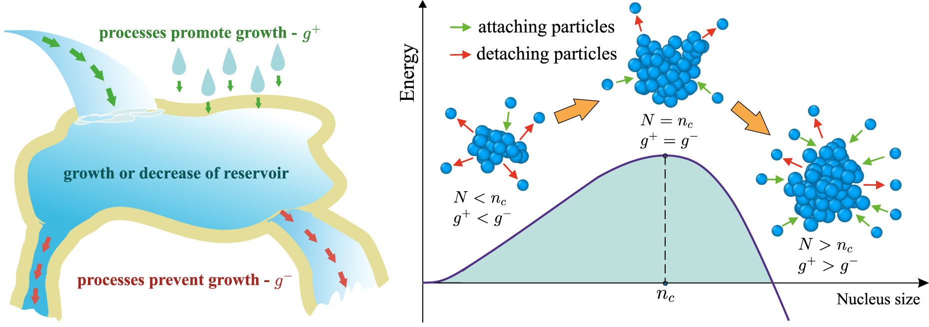 Neocrystallization Diagram Kinetics of inherent processes counteracting crystallization in ...