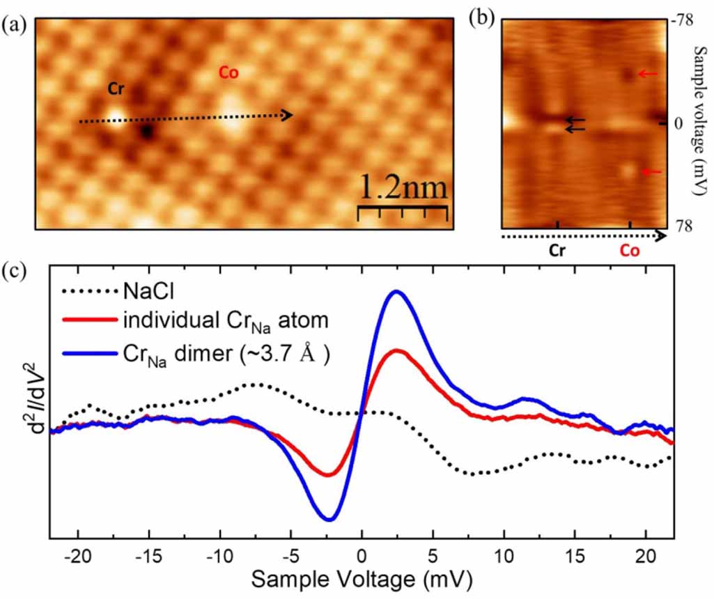 Spin excitations of individual magnetic dopants in an ionic thin film ...