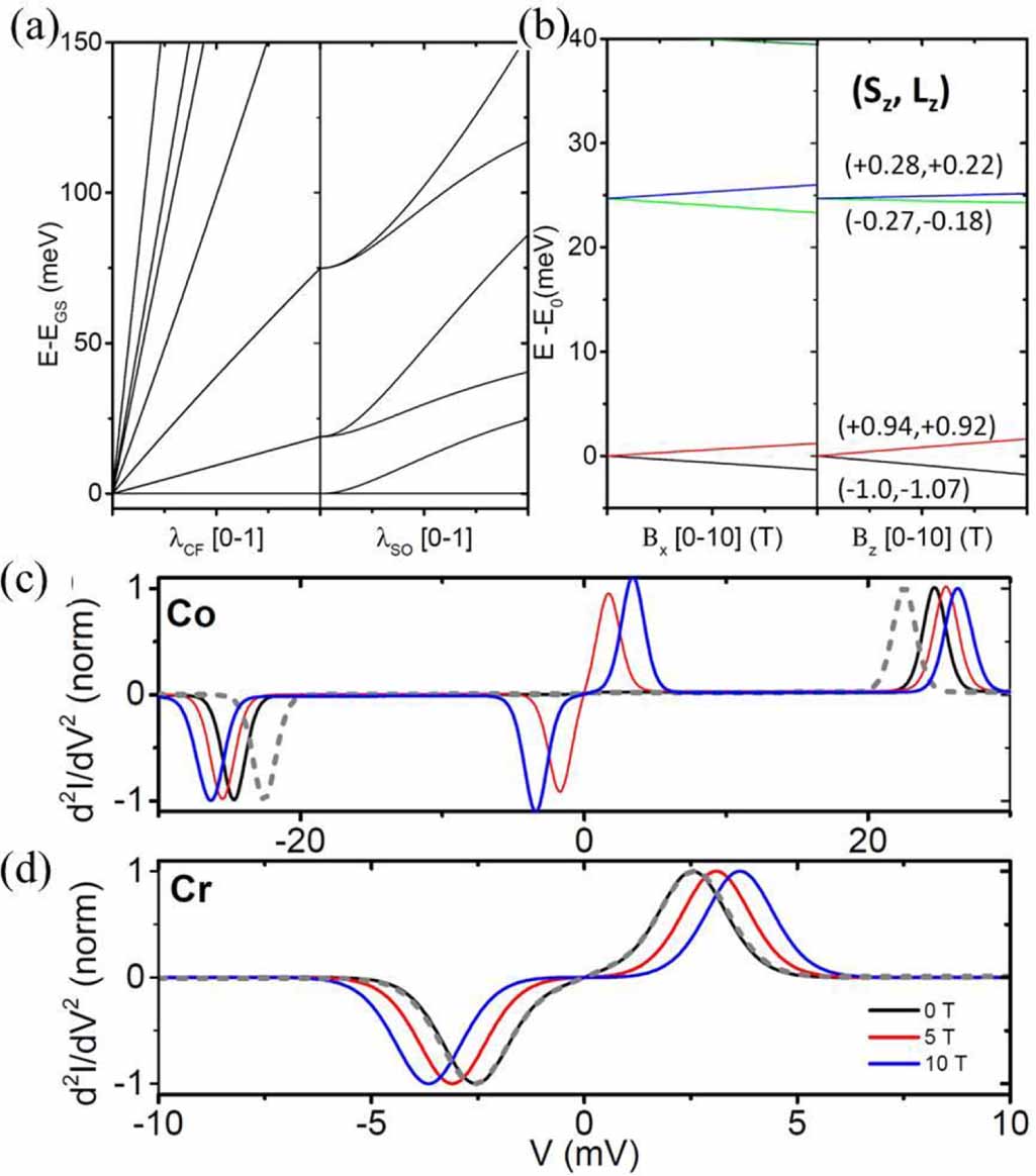 Spin excitations of individual magnetic dopants in an ionic thin film ...