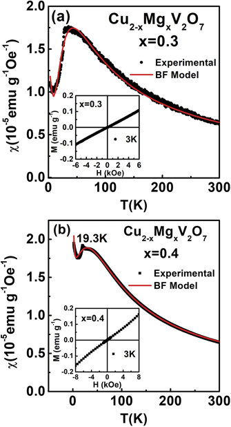 Effect of Co and Mg doping at Cu site on structural, magnetic and ...