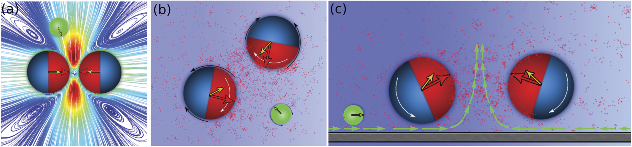Interactions in active colloids - IOPscience