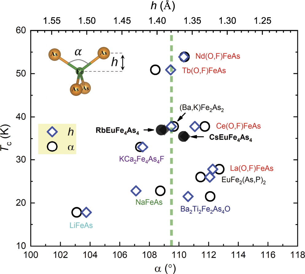 Iron-based magnetic superconductors AEuFe4As4 (A = Rb, Cs