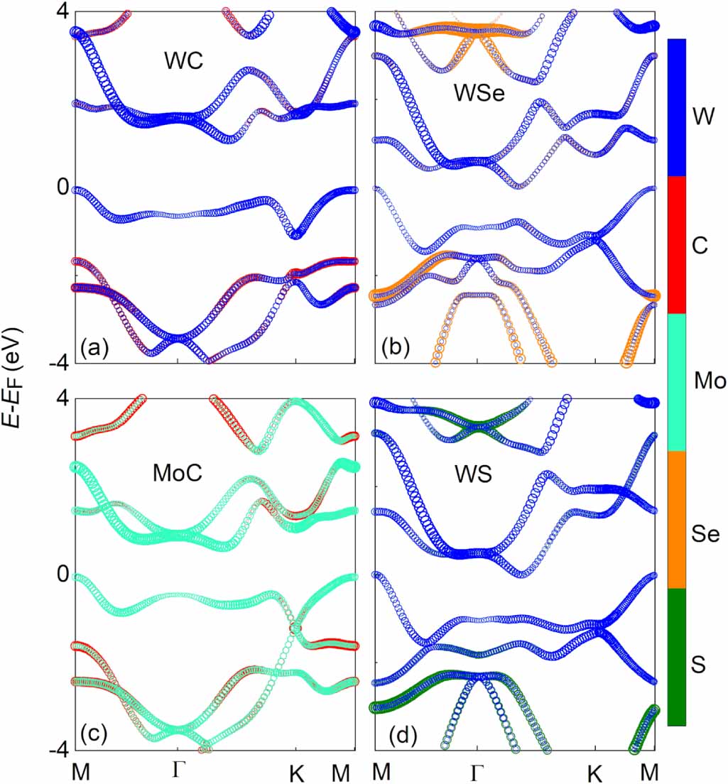 Spintronics Rashba MX family: an efficient platform for topological spintronics based on ...