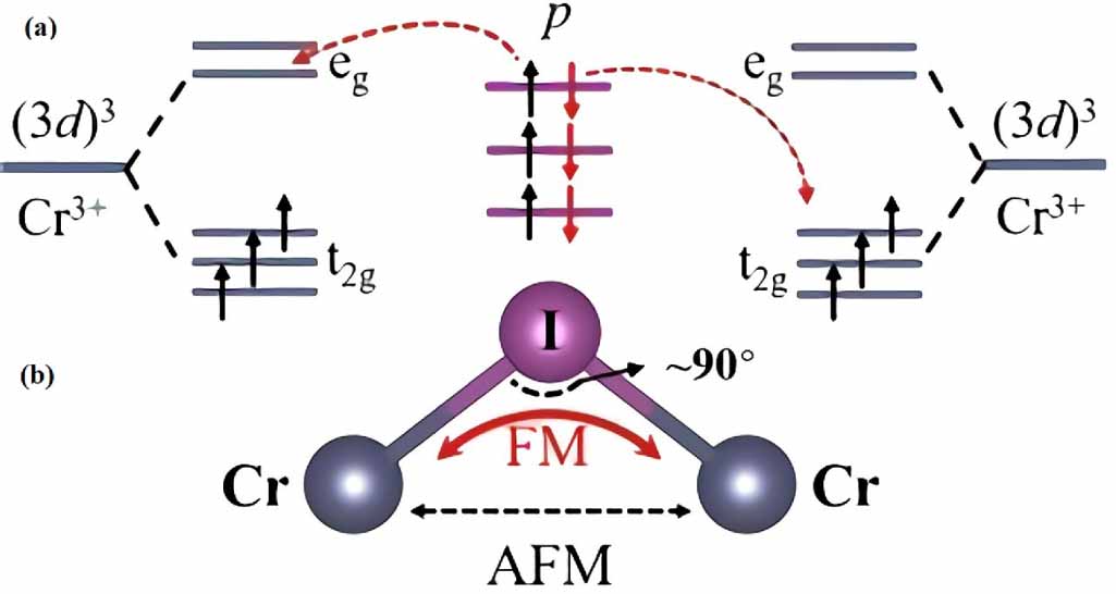 Theoretical studies on electronic, magnetic and optical