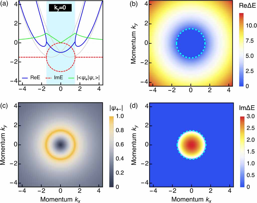 Exceptional degeneracies in non-Hermitian Rashba semiconductors
