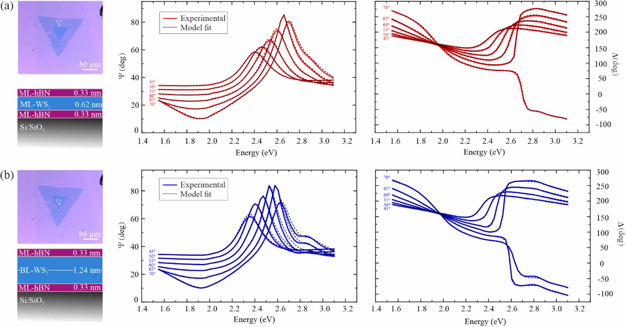 Local dielectric function of hBN-encapsulated WS2 flakes grown by ...