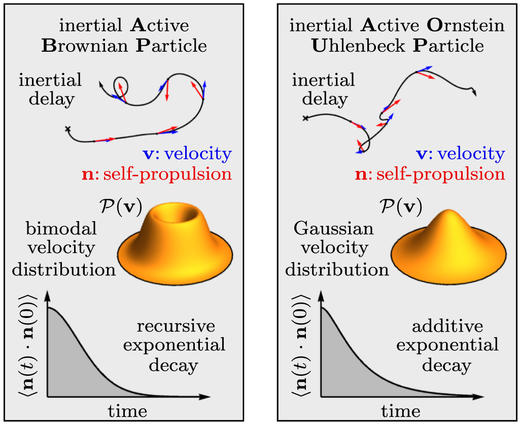 Dynamics of active particles with translational and rotational inertia ...