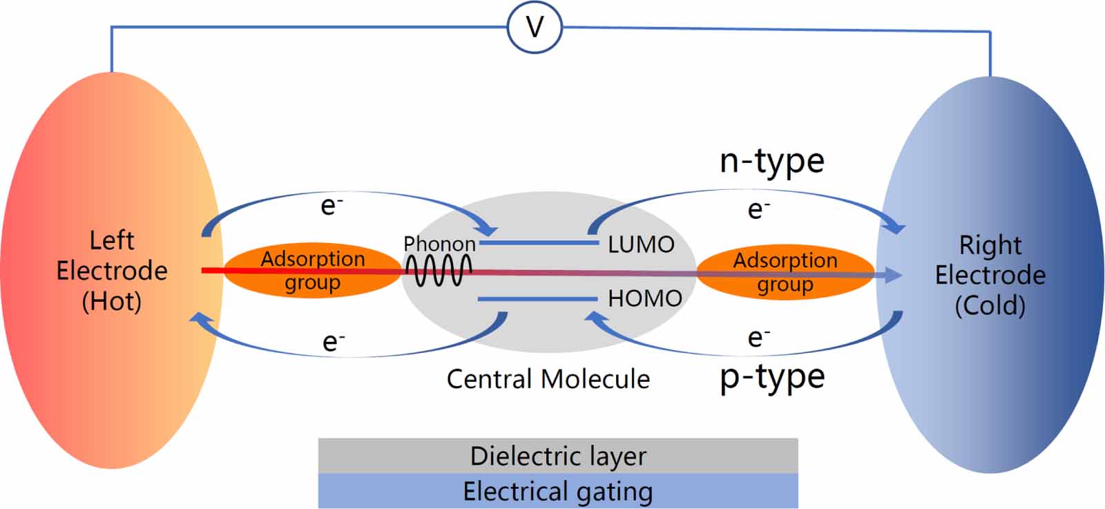The effect of side substitution and quantum interference on the ...