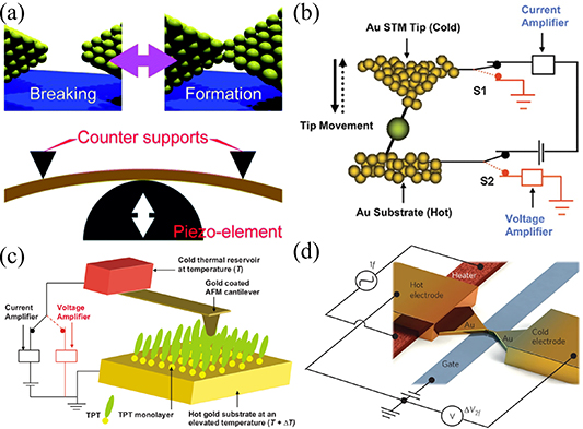 The effect of side substitution and quantum interference on the ...