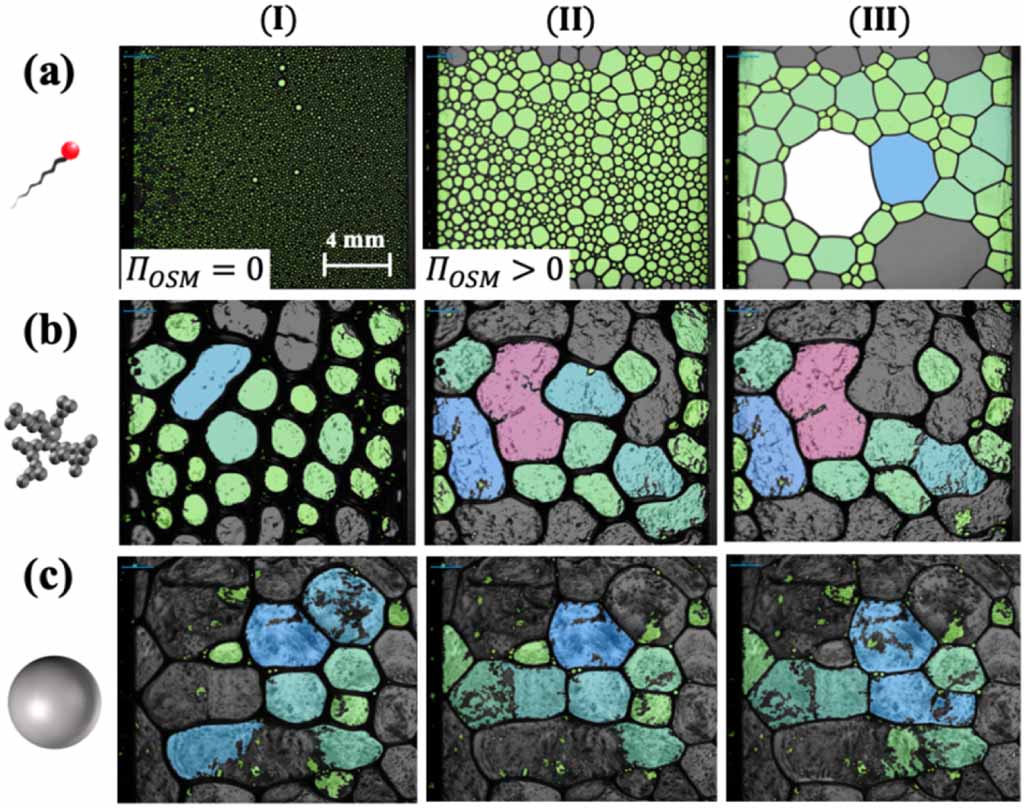 Texture Map Rheology Interfacial rheology insights: particle texture and Pickering foam ...