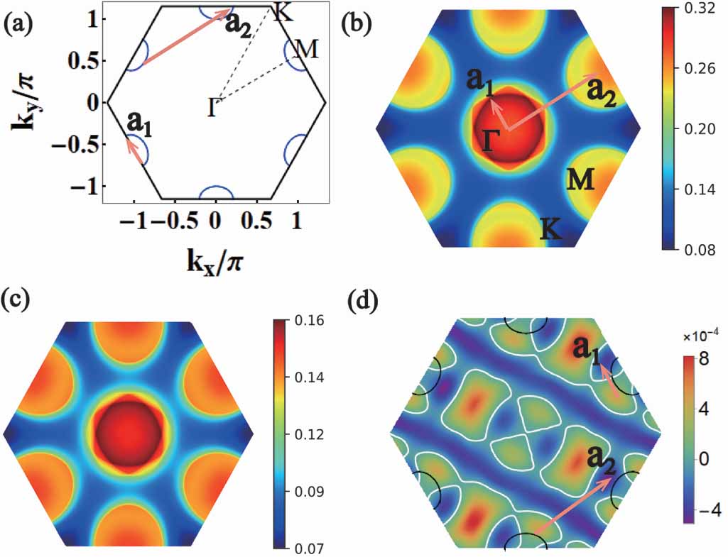 Superconductivity and density-wave fluctuations in an extended ...