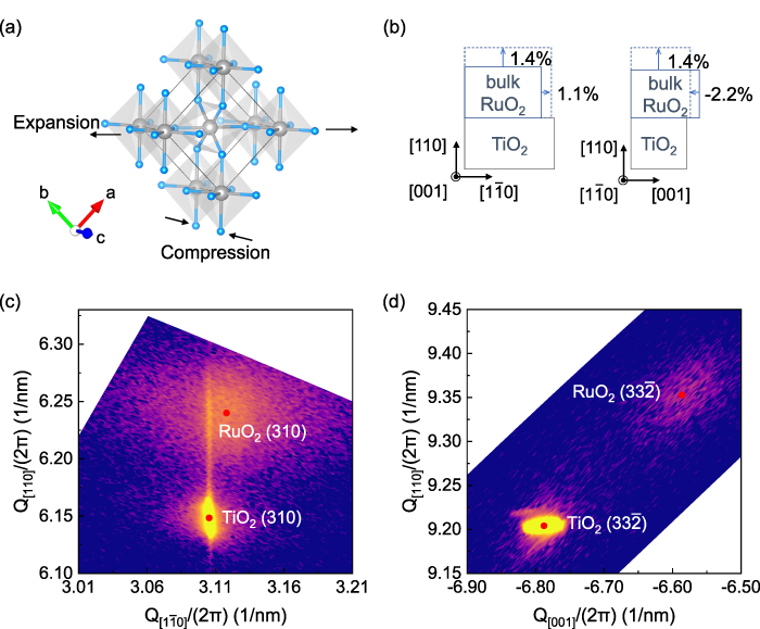 Emergent weak antilocalization and wide-temperature-range electronic ...