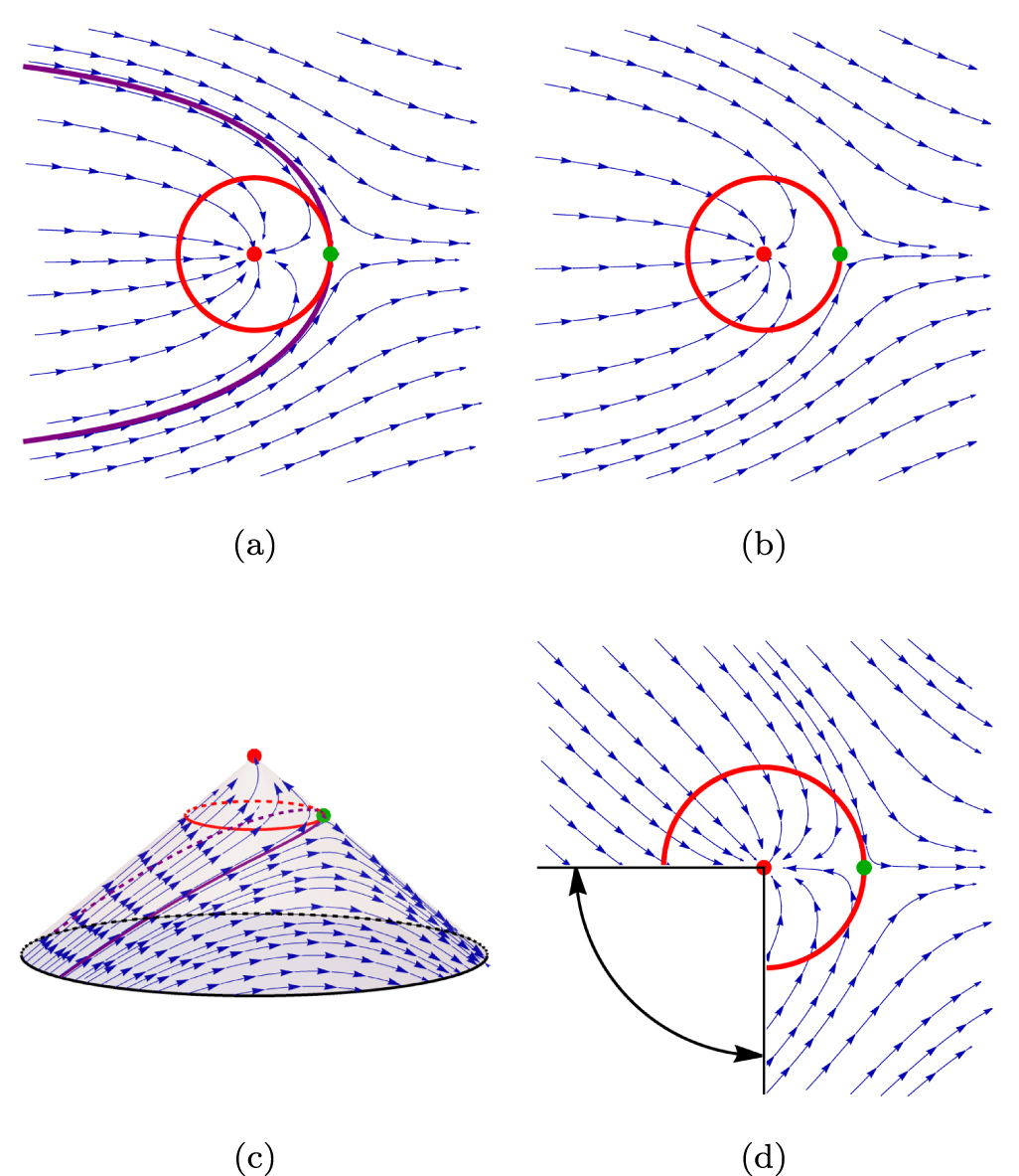 Active topological defect absorption by a curvature singularity ...