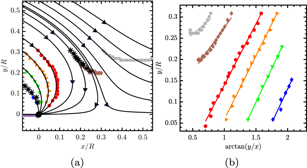 Active topological defect absorption by a curvature singularity ...