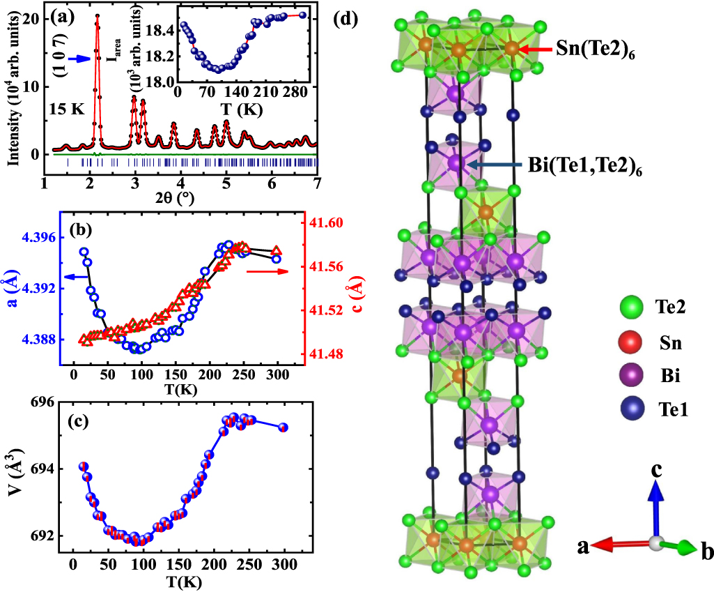 ⑧8-c/8-d セット Frontiers | The molecular mechanisms of CD8+ T cell