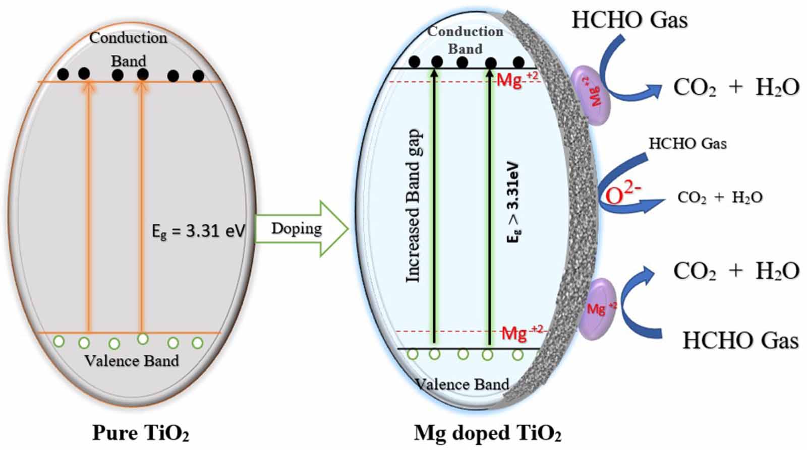 Synergistic effects of Mg doping on TiO2 for improved toxic gas sensing ...
