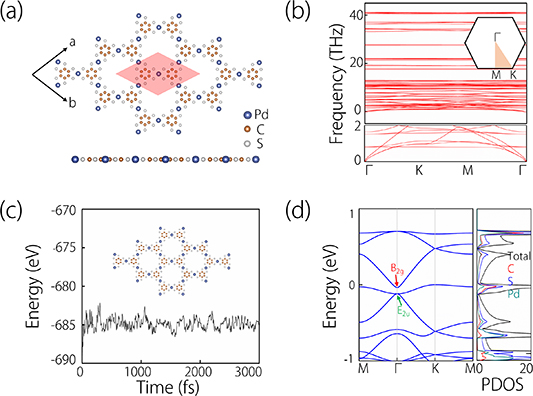 Realization of high-order topological phase transition in 2D metal ...