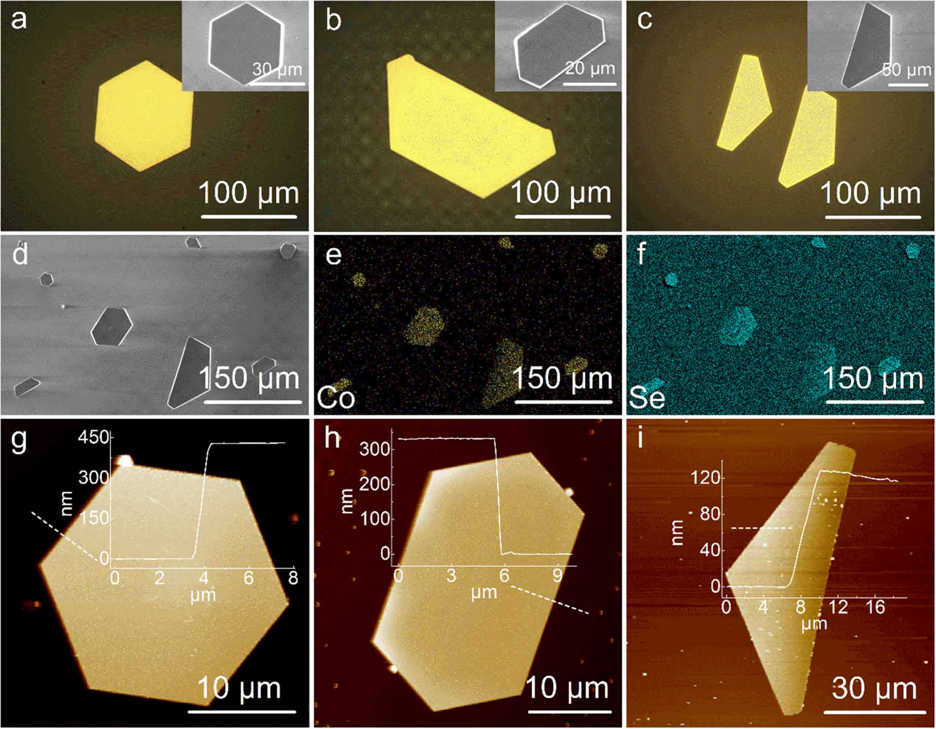 Room-temperature ferromagnetic CoSe2 nanoplates synthesized