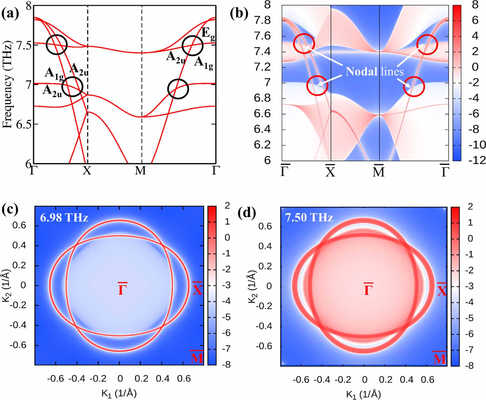 Coexistence of electron and phonon topology in conjunction with quantum ...