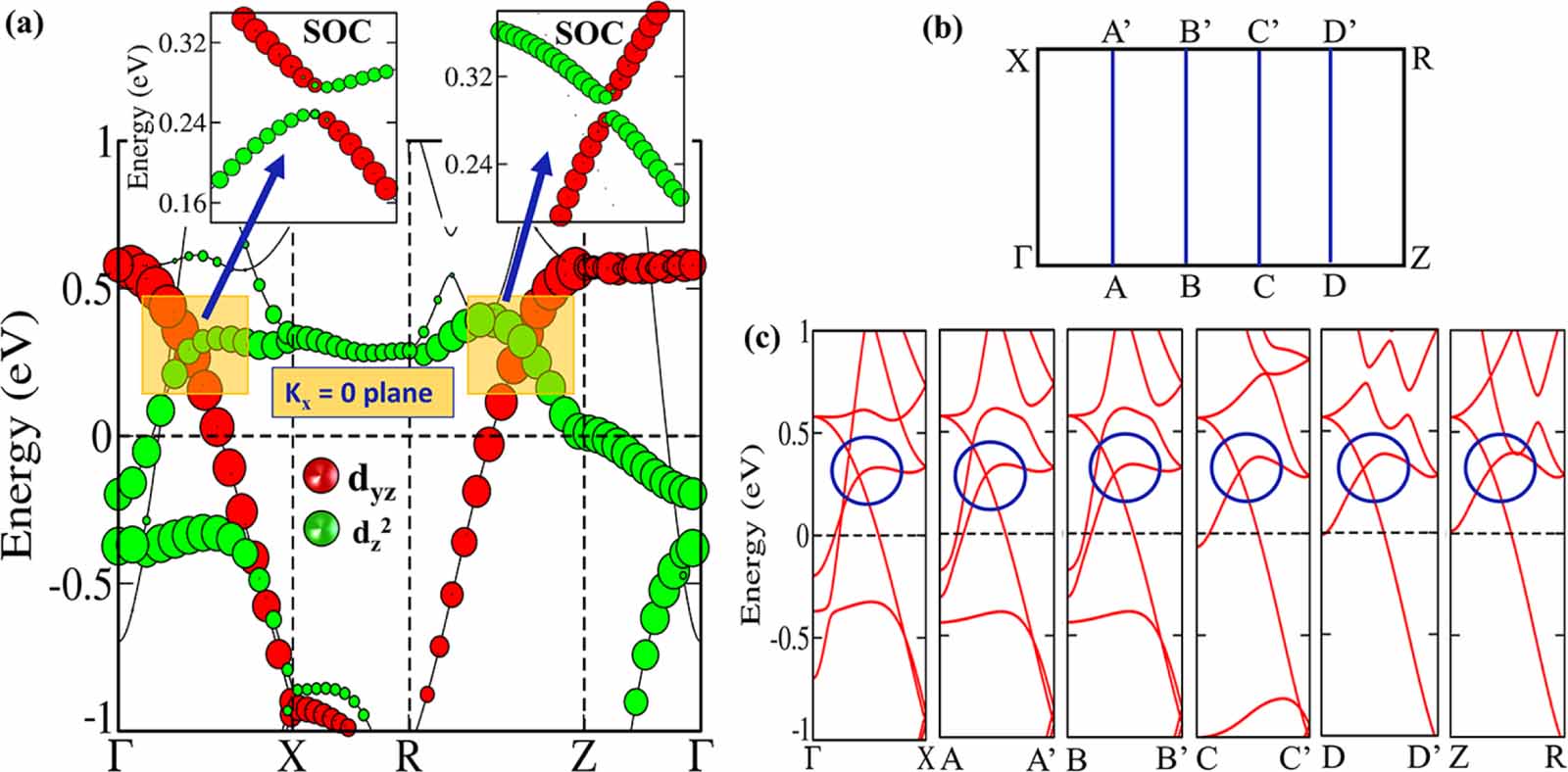 Coexistence of electron and phonon topology in conjunction with quantum ...