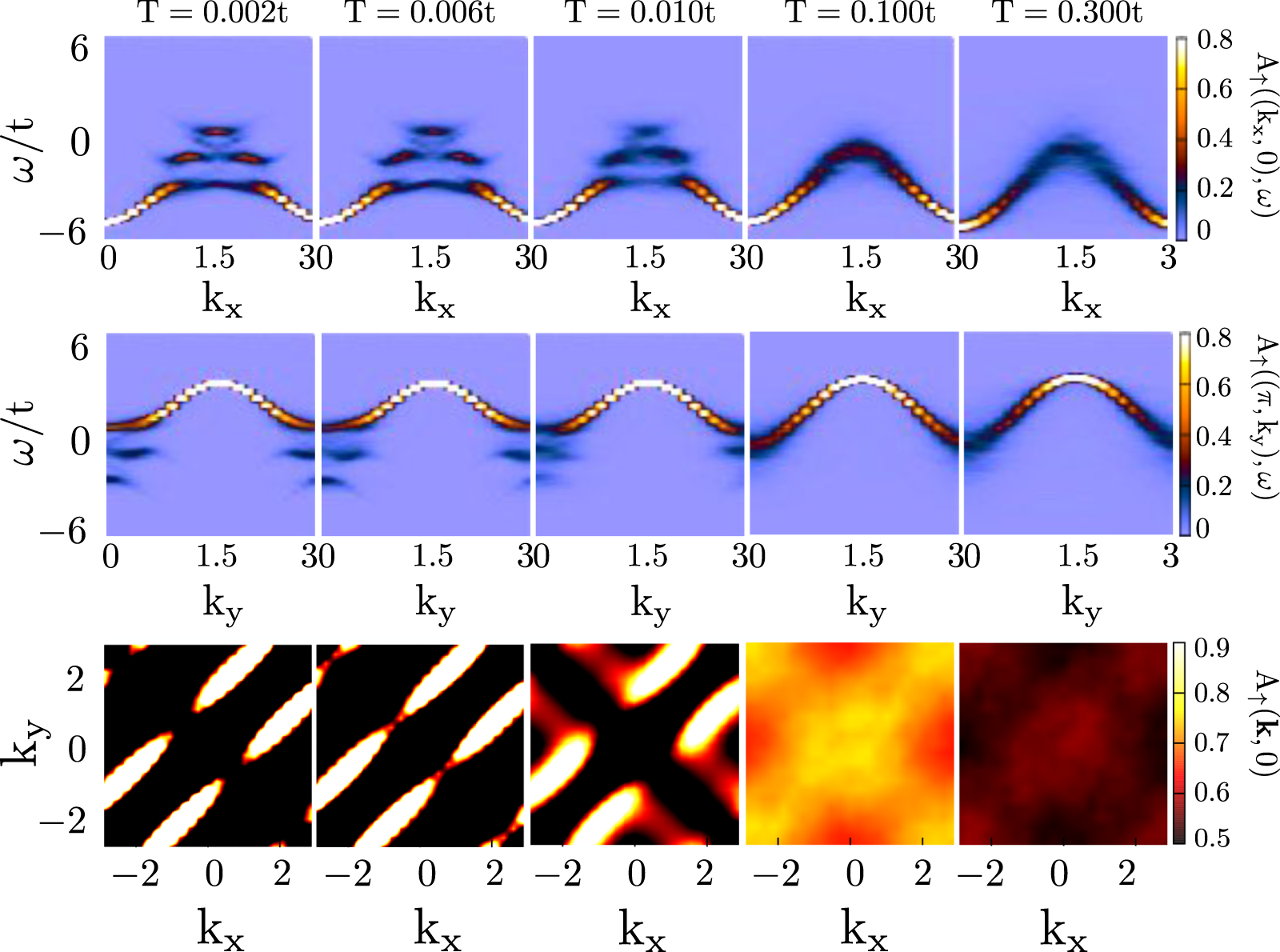 Magnetotransport and Fermi surface segmentation in Pauli limited