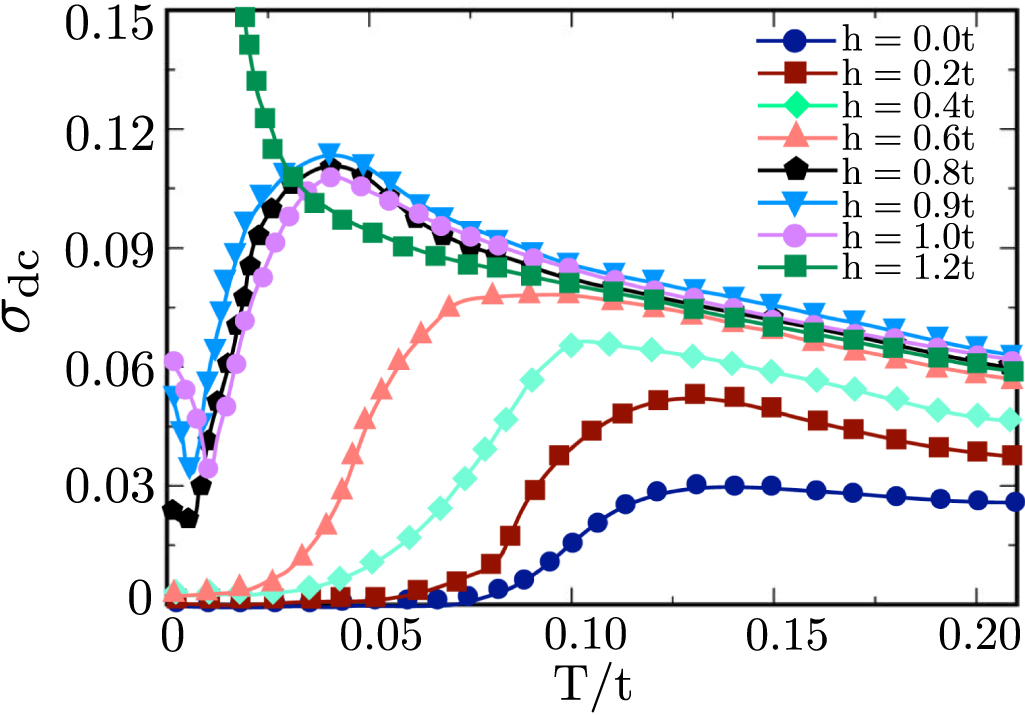 Magnetotransport and Fermi surface segmentation in Pauli