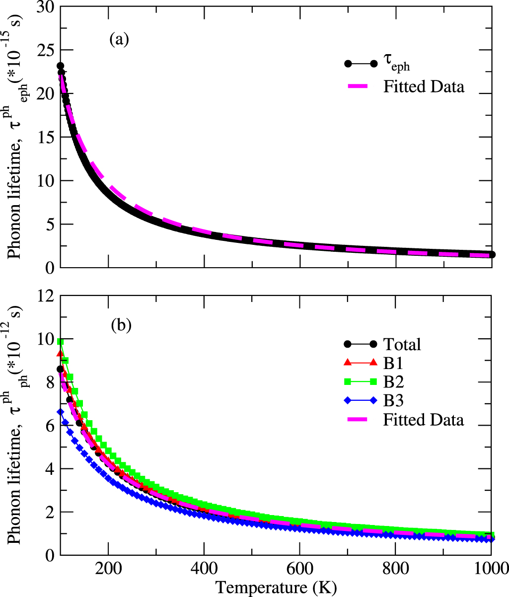 Ab initio investigation of the lattice dynamics and