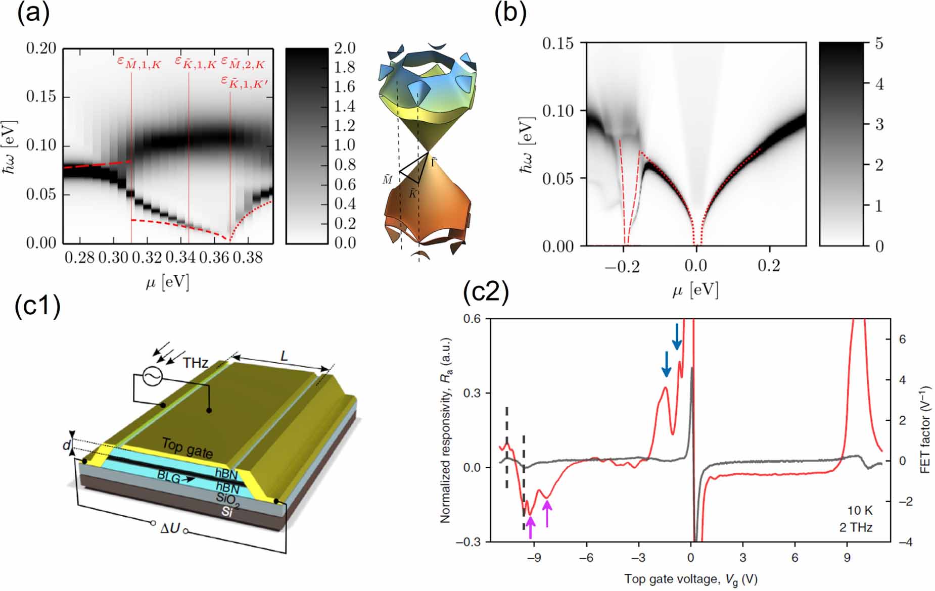 FACT ロンT Mサイズ Tuning of the electronic and optical properties of single