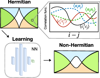 Transfer learning from Hermitian to non-Hermitian quantum many-body ...