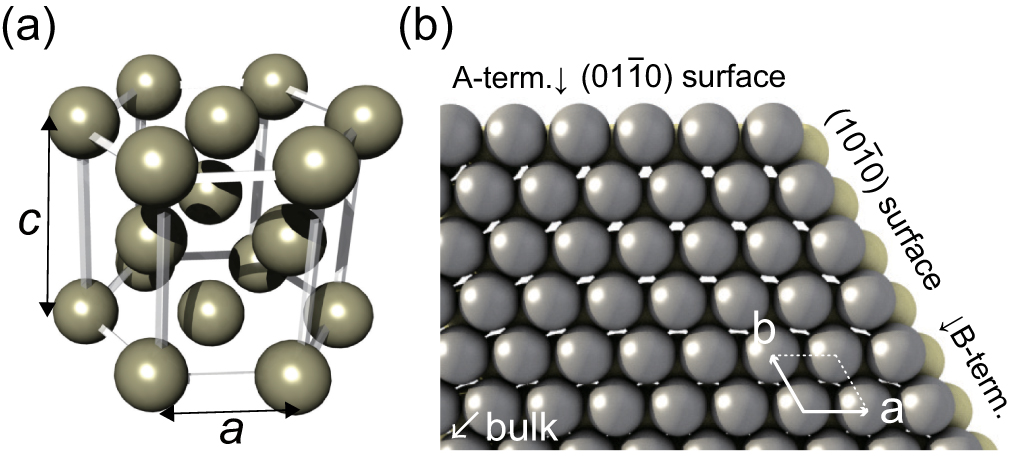 Topological band inversion and chiral Majorana mode in hcp