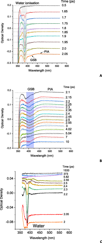 Study of rutile TiO2(110) single crystal by transient absorption ...