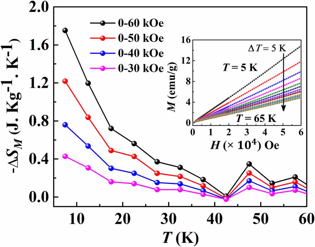 Negative magnetization and magnetic ordering of rare earth and ...