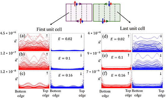 Chiral edge transport along domain walls in magnetic topological ...