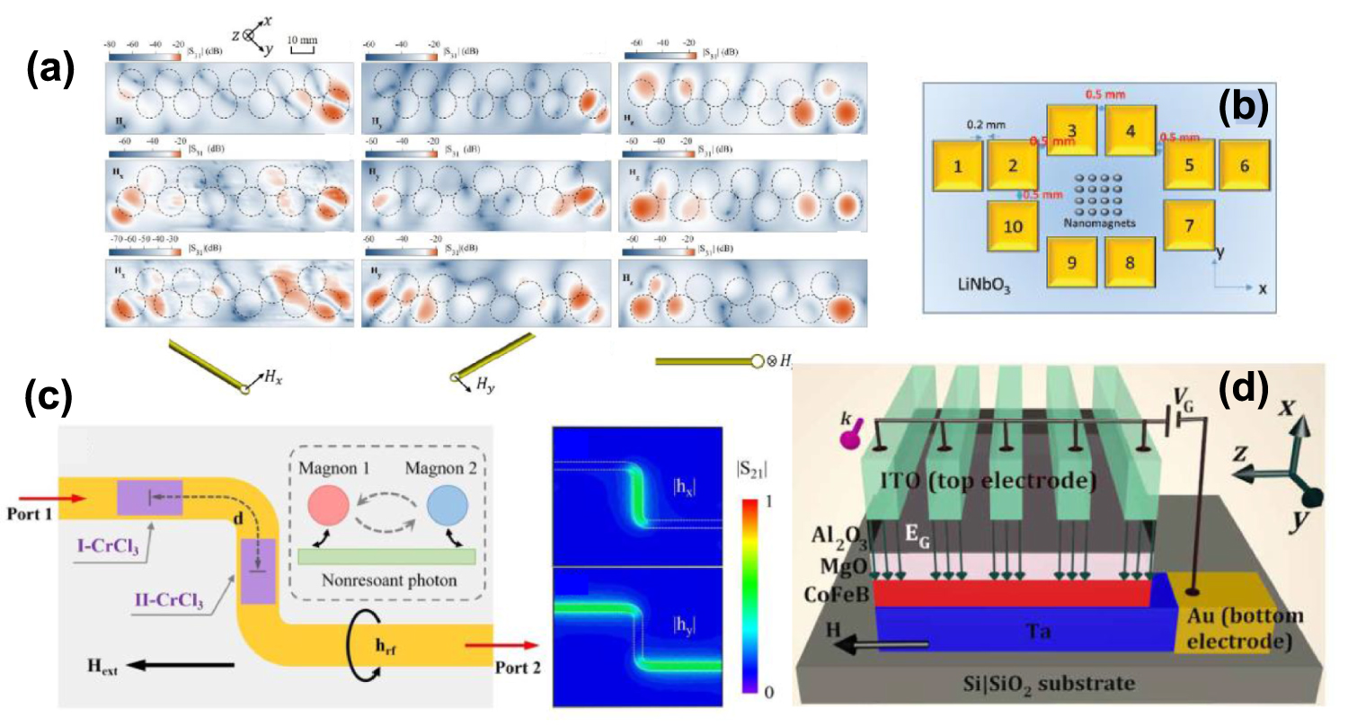 Using magnons as a quantum technology platform: a