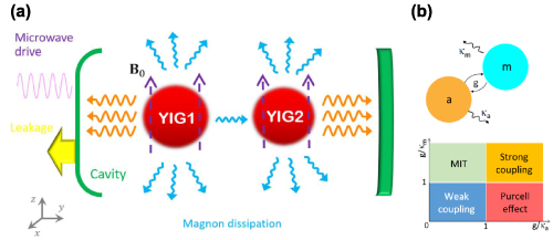 Using magnons as a quantum technology platform: a perspective - IOPscience